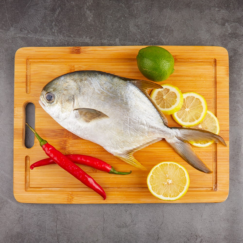 Local Sea-Water Farmed Lion Head Red Snapper Fillet